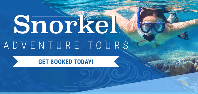 Barbados Snorkeling Tours