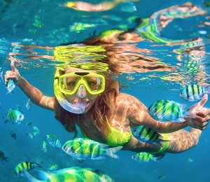 Barbados Snorkeling